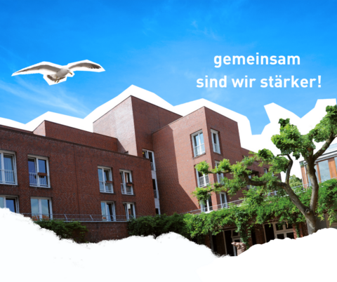 Möwe fliegt über Gebäude, Text "gemeinsam sind wir stärker!"